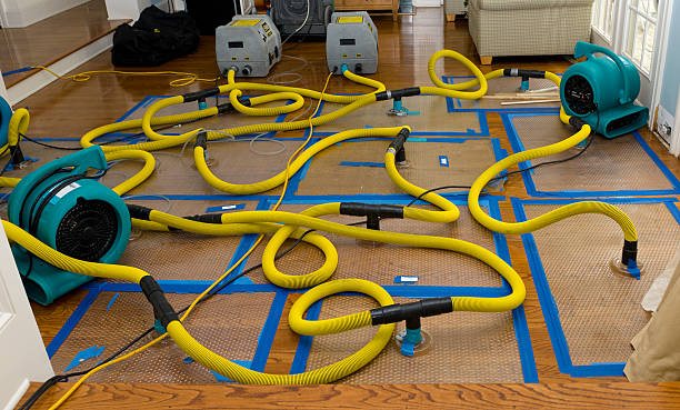 Professional Sewage Cleanup technician working in Pomona, KS